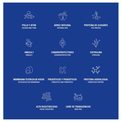 Dialpet excellence adult complete Dialpet excellence adult complete