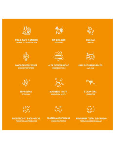 comida gourmet para gatos adultos 2