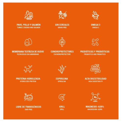 comida para gatos esterilizados comida para gatos esterilizados