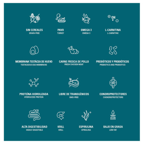 Dialpet excellence GF light senior