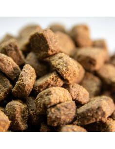 alimento completo para perros light y senior grain free 2