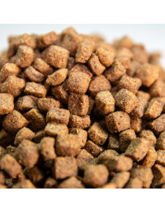 comida para gatos esterilizados 2