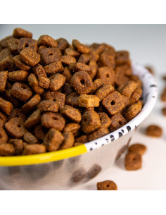 comida gourmet para gatos adultos 2