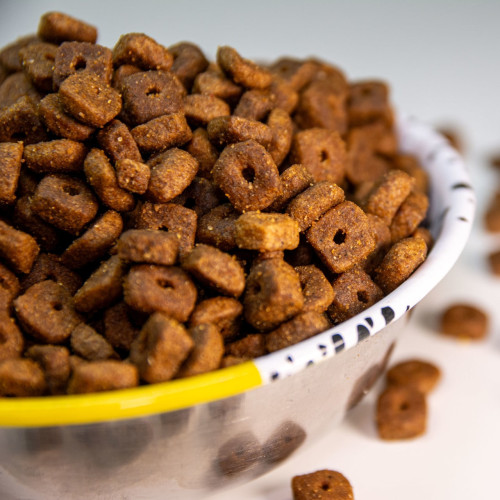 comida gourmet para gatos adultos