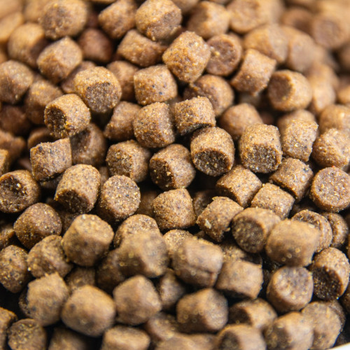 comida gourmet para gatos adultos comida gourmet para gatos adultos