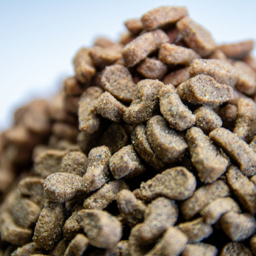 comida para gatos esterilizados