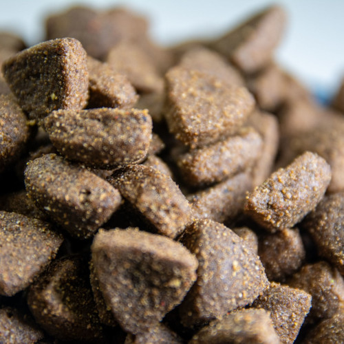 Dialpet excellence GF hypoallergenic