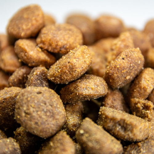 Dialpet excellence GF light senior Dialpet excellence GF light senior