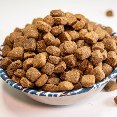 Dialpet excellence adult complete Dialpet excellence adult complete