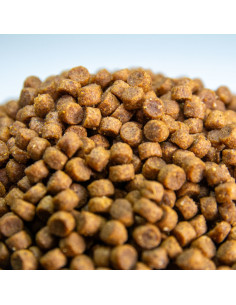 comida para cachorros en crecimiento 2