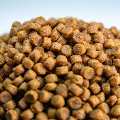 comida para cachorros en crecimiento