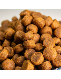 comida para perros raza pequeña con cordero 2