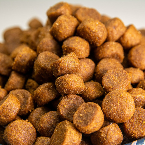 comida para perros raza pequeña con cordero