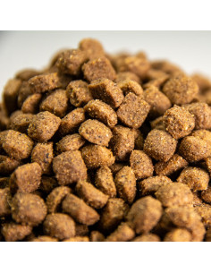 comida para perros fácil digestión razas pequeñas 2