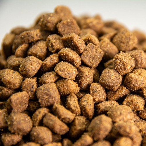 comida para perros fácil digestión razas pequeñas comida para perros fácil digestión razas pequeñas