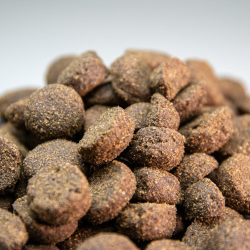 comida para perros razas medianas y grandes con cordero