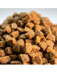 comida para cachorros con arroz 2