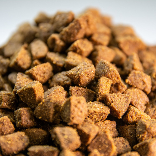 comida para cachorros con arroz comida para cachorros con arroz