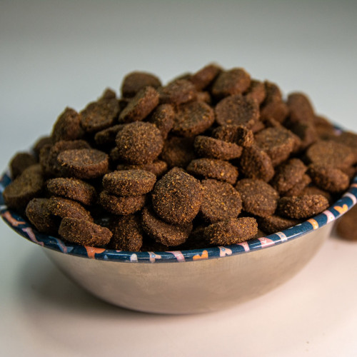 comida para perros con alta actividad física