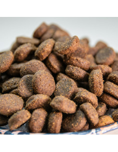 comida para perros equilibrada y rica en nutrientes 2