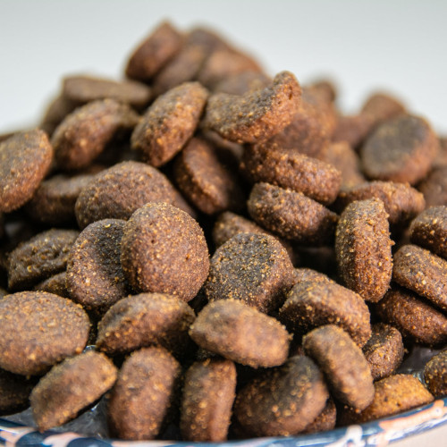 comida para perros equilibrada y rica en nutrientes