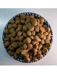 comida para perros senior 2