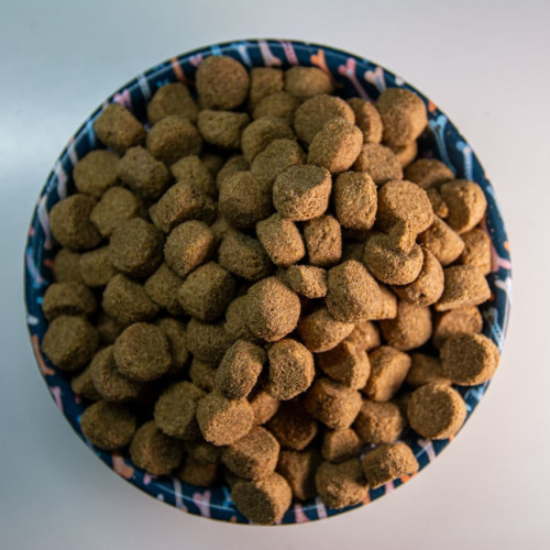 comida para perros senior