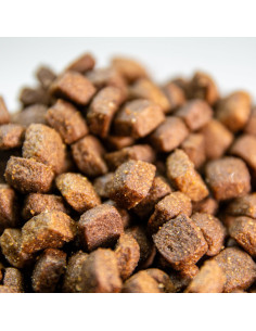 comida para perros razas pequeñas 2