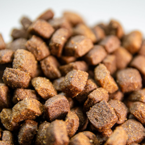 comida para perros razas pequeñas comida para perros razas pequeñas