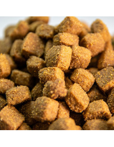comida para perros medianos y grandes con intolerancias 2
