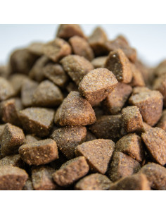 comida para perros con intolerancias 2