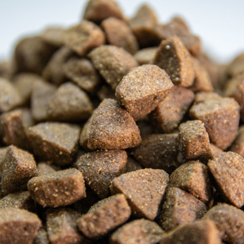 comida para perros con intolerancias