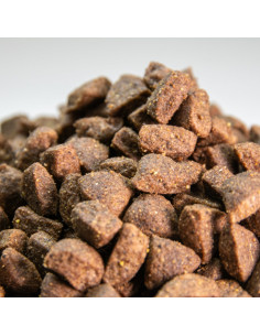 comida para perros adultos con acitividad moderada 2