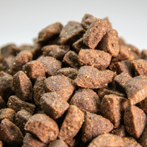 comida para perros adultos con acitividad moderada comida para perros adultos con acitividad moderada