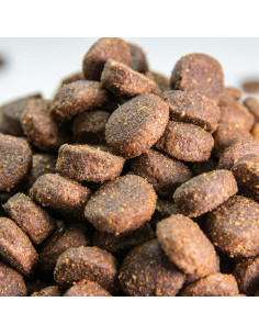 comida para perros con cordero 2