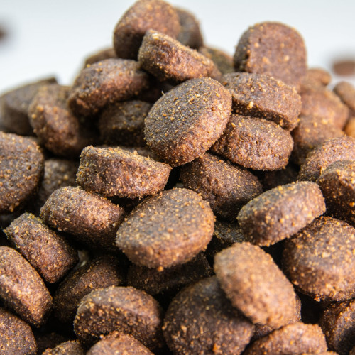 comida para perros con cordero