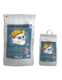 comida para gatitos con salmón