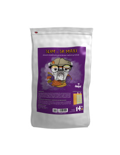 comida para perros senior
