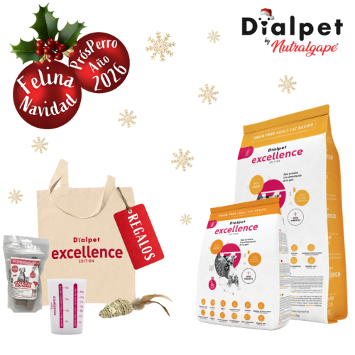 comida gourmet para gatos adultos