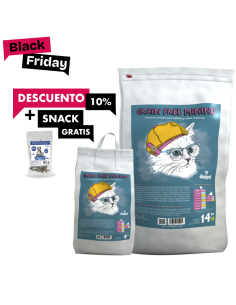 comida para gatitos con salmón