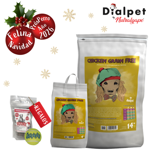 comida para perros equilibrada y rica en nutrientes