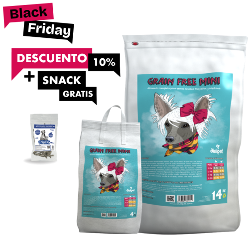 comida para perros razas pequeñas