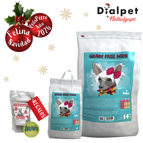 comida para perros razas pequeñas