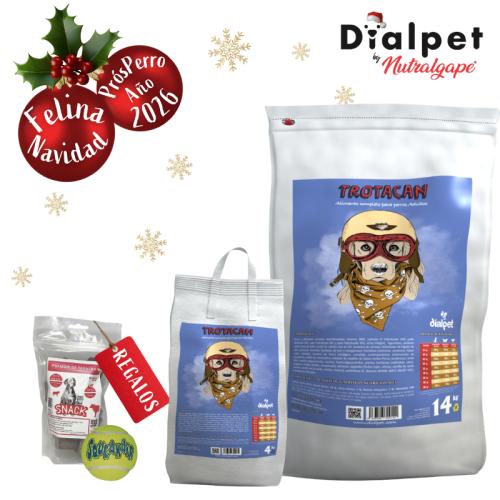 comida para perros con alta actividad física