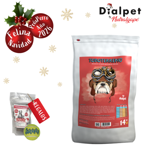 comida para perros adultos con acitividad moderada