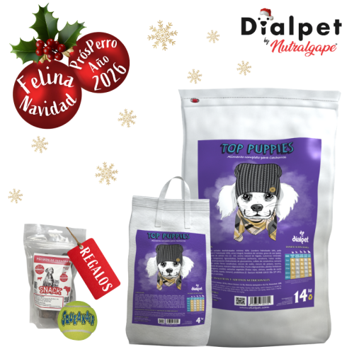 comida para cachorros con arroz