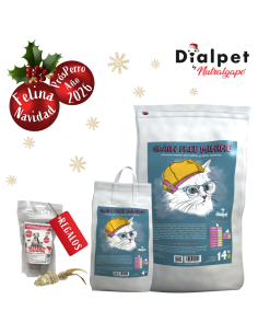 comida para gatitos con salmón