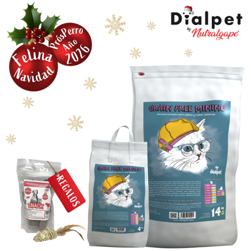 comida para gatitos con salmón