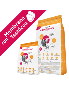 comida gourmet para gatos adultos